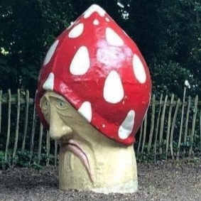 Trauriger Pilz Fahndungsfoto